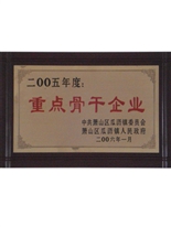 重点骨干企业